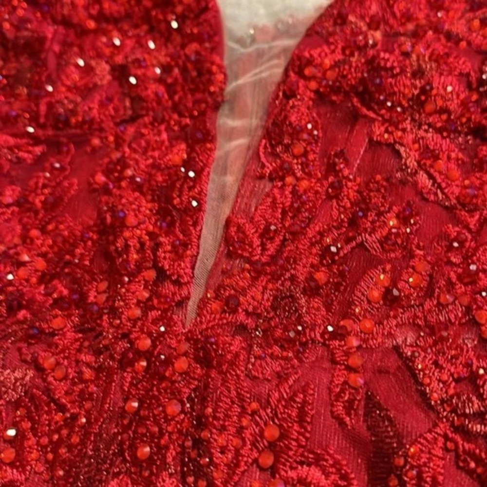 $798 Mac Duggal Size 14 Red Floral Embroidery Jeweled Long Maxi Gown Dress - Picture 5 of 7